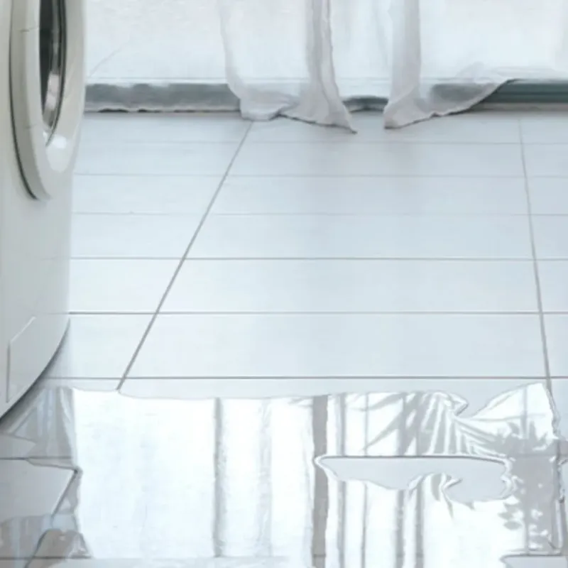 Appliance Leak Cleanup in Calhoun County, AL