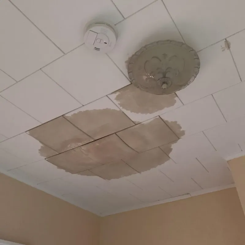 Ceiling Water Damage Repair in Calhoun County, AL