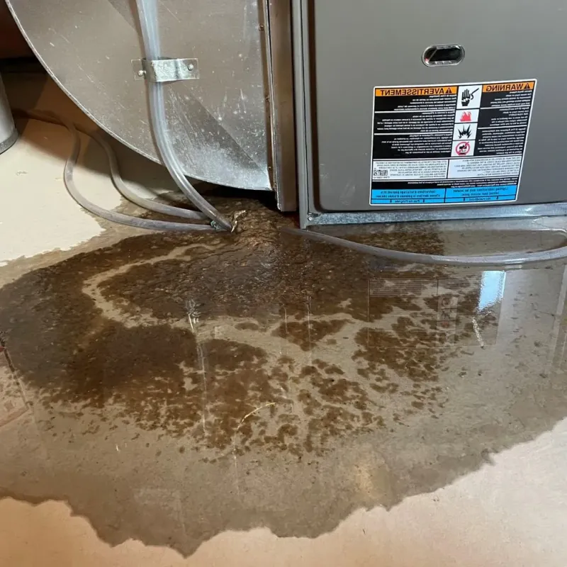 Pipe Burst and Leak Restoration in Calhoun County, AL