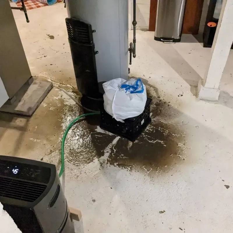 Sewage Backup Cleanup Service in Calhoun County, AL